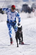 Lenk 2013